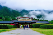 洞口雪峰云雾茶旅融合示范区挂牌，采茶制茶研学游预订火爆‌——探寻自然与人文的完美邂逅