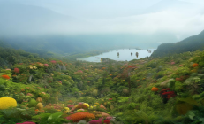 邵阳县生物多样性保护成果荣获全国典型案例殊荣