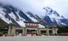 洞口雪峰云雾茶旅融合示范区挂牌，采茶制茶研学游预订火爆，打造全新旅游体验