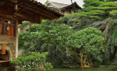 邵阳县天子湖湿地公园打造“水上迷宫”，皮划艇探秘芦苇荡成亲子爆款