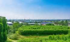 邵阳经开区绿色发展成效显著，荣获国家级绿色园区称号