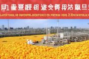 邵阳雪峰蜜橘精深加工园盛大开园，橘皮变废为宝年创汇2亿元