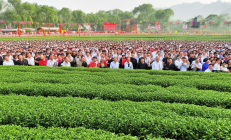 邵阳县油茶合作社分红大会盛大召开，5万茶农人均增收6000元，助力乡村振兴