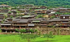 邵阳县茶油开榨仪式直播带货，非遗技艺助力农产品销售突破千万大关