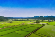 新邵县稻田养鳅扶贫项目扩产，2000亩基地助力千名脱贫户迈向富裕之路