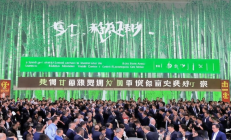 绥宁林业碳汇交易中心挂牌，全国首单竹林碳汇拍卖成交额破亿，绿色金融助力生态文明建设