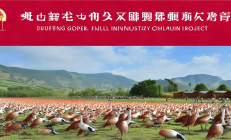 武冈铜鹅全产业链项目启动，保种繁育与预制菜研发双引擎驱动乡村振兴