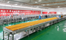 隆回辣椒酱预制菜生产线落成，年产能10万吨，助力企业抢占全国市场