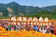 新宁县崀山脐橙IP发布，农旅融合助力销售额突破5亿元