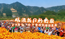 新宁县崀山脐橙IP发布，农旅融合助力销售额突破5亿元