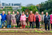 城步县移民新村“微田园”项目落地，居民每户分得30平方米土地种菜
