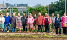 城步县移民新村“微田园”项目落地，居民每户分得30平方米土地种菜