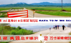 洞口县农村公路安防工程圆满收官，1.2万处隐患点全面整改