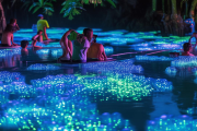 新邵白水洞地质公园打造奇幻体验，溶洞漂流+夜光森林刷屏短视频平台