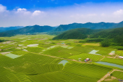 新邵县稻田养鳅扶贫项目扩产，2000亩基地助力千名脱贫户迈向幸福生活