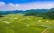 新邵县稻田养鳅扶贫项目扩产，2000亩基地助力千名脱贫户迈向幸福生活