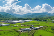 城步南山乳业崛起，亚洲最大高山牧场助力液态奶产量跻身全国前三
