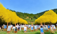 邵阳县油茶林写生大赛启幕，百名画家共绘“金色田园”画卷