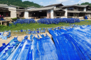 邵阳县蓝印花布技艺村开村，非遗工坊月产万件文创产品，传承与创新共舞