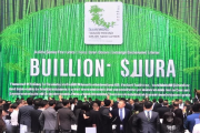 绥宁林业碳汇交易中心挂牌，全国首单竹林碳汇拍卖成交额破亿，绿色金融助力生态保护